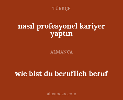 nasıl profesyonel kariyer yaptın - wie bist du beruflich beruf