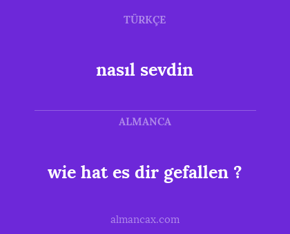 nasıl sevdin - wie hat es dir gefallen ?