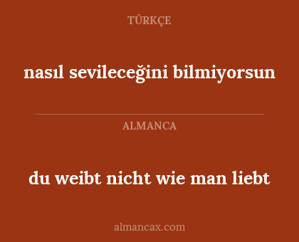 nasıl sevileceğini bilmiyorsun - du weibt nicht wie man liebt