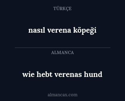 wie hebt verenas hund - nasıl verena köpeği