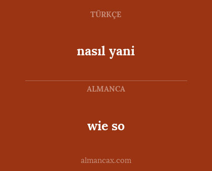 wie so - nasıl yani
