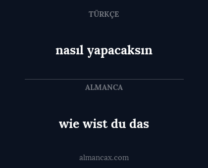 nasıl yapacaksın - wie wist du das