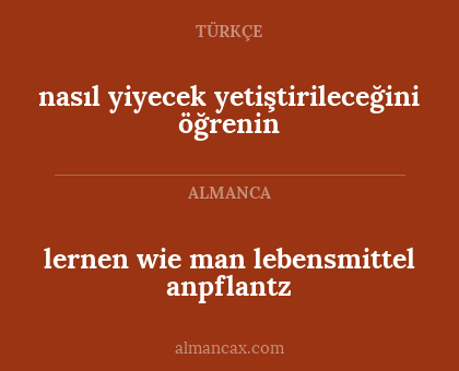 nasıl yiyecek yetiştirileceğini öğrenin - lernen wie man lebensmittel anpflantz
