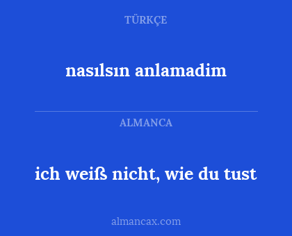 nasılsın anlamadim - ich weiß nicht, wie du tust