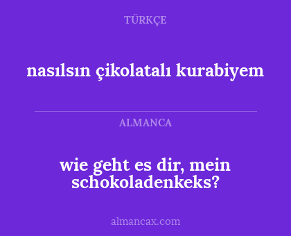 nasılsın çikolatalı kurabiyem - wie geht es dir, mein schokoladenkeks?