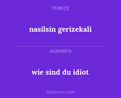 nasilsin gerizekali - wie sind du idiot