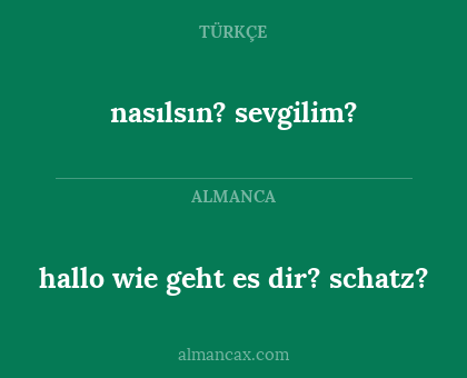 nasılsın? sevgilim? - hallo wie geht es dir? schatz?