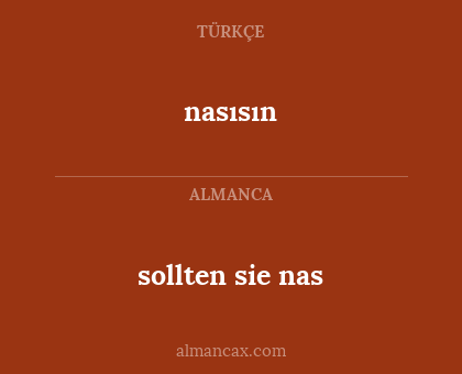 nasısın - sollten sie nas