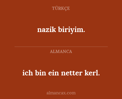 ich bin ein netter kerl. - nazik biriyim.