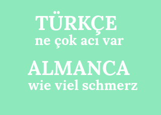 ne+%C3%A7ok+ac%C4%B1+var-wie+viel+schmerz.png