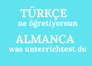 ne+%C3%B6%C4%9Fretiyorsun-was+unterrichtest+du.png