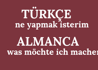 ne+yapmak+isterim-was+m%C3%B6chte+ich+machen.png