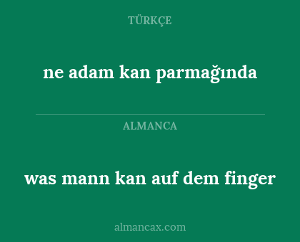 was mann kan auf dem finger - ne adam kan parmağında