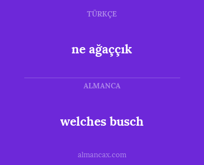 ne ağaççık - welches busch