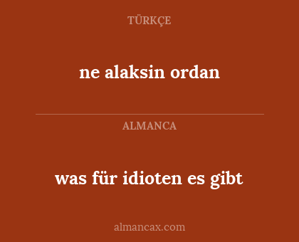 ne alaksin ordan - was für idioten es gibt