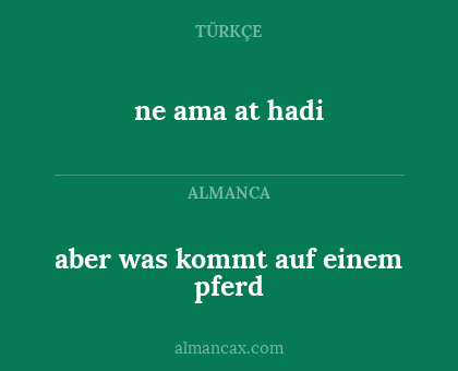 ne ama at hadi - aber was kommt auf einem pferd