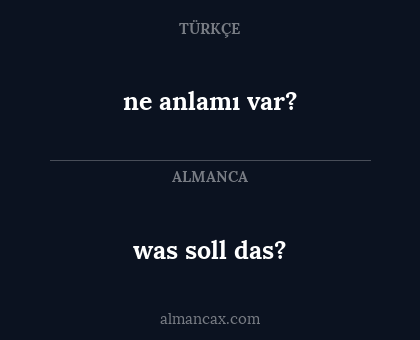ne anlamı var? - was soll das?