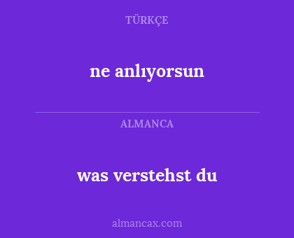 ne anlıyorsun - was verstehst du