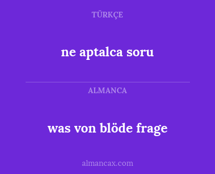 ne aptalca soru - was von blöde frage