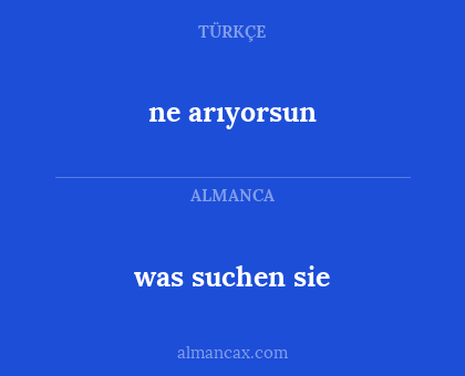ne arıyorsun - was suchen sie
