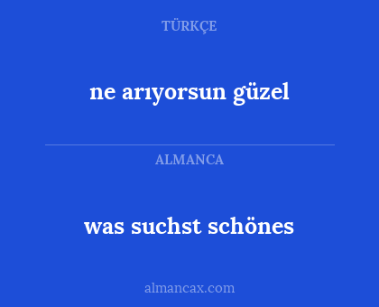 was suchst schönes - ne arıyorsun güzel