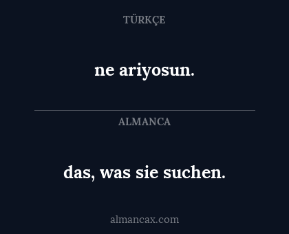 ne ariyosun. - das, was sie suchen.