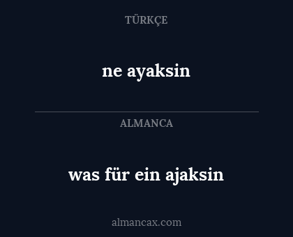 ne ayaksin - was für ein ajaksin