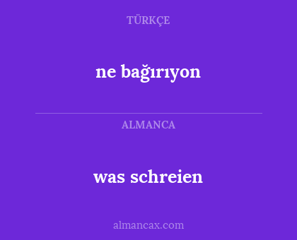 ne bağırıyon - was schreien