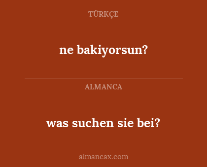 was suchen sie bei? - ne bakiyorsun?