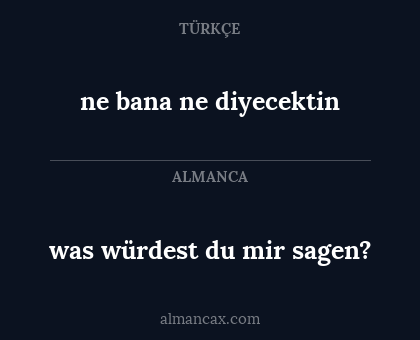 ne bana ne diyecektin - was würdest du mir sagen?