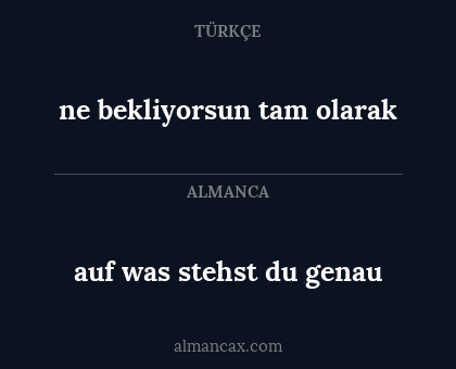 ne bekliyorsun tam olarak - auf was stehst du genau