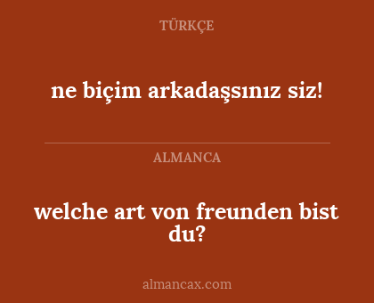 welche art von freunden bist du? - ne biçim arkadaşsınız siz!