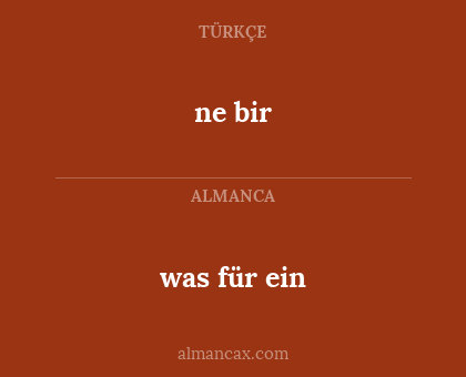 ne bir - was für ein