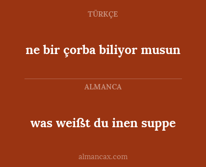 ne bir çorba biliyor musun - was weißt du inen suppe