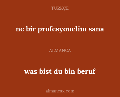 ne bir profesyonelim sana - was bist du bin beruf