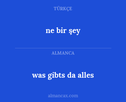 ne bir şey - was gibts da alles
