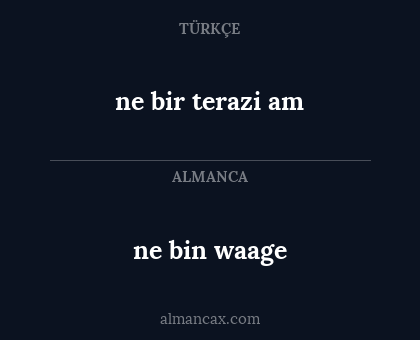 ne bin waage - ne bir terazi am