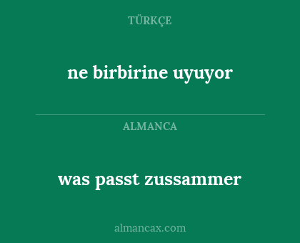 was passt zussammer - ne birbirine uyuyor