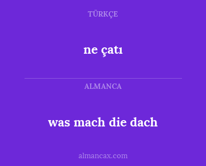 was mach die dach - ne çatı