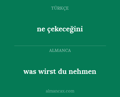 was wirst du nehmen - ne çekeceğini