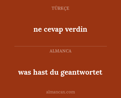 ne cevap verdin - was hast du geantwortet