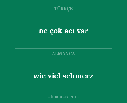 wie viel schmerz - ne çok acı var