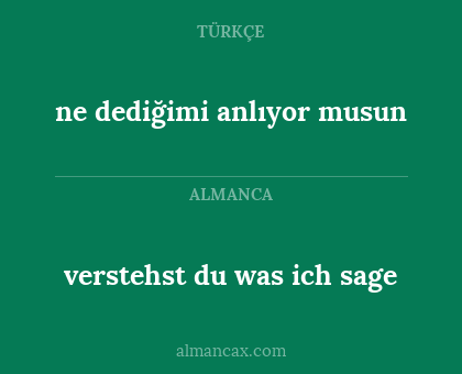 ne dediğimi anlıyor musun - verstehst du was ich sage