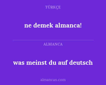 ne demek almanca! - was meinst du auf deutsch