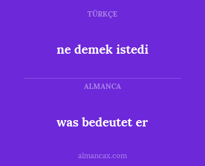 ne demek istedi - was bedeutet er