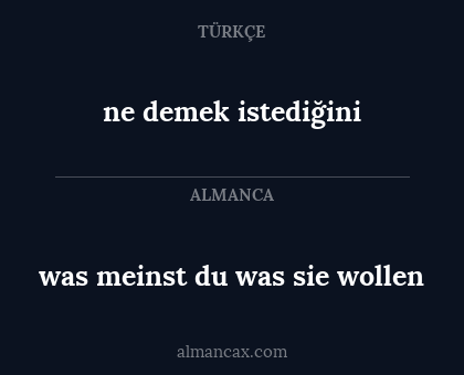 ne demek istediğini - was meinst du was sie wollen