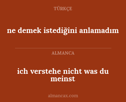 ich verstehe nicht was du meinst - ne demek istediğini anlamadım