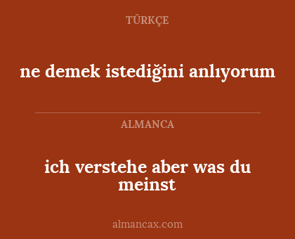 ne demek istediğini anlıyorum - ich verstehe aber was du meinst