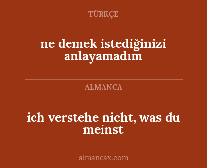 ich verstehe nicht, was du meinst - ne demek istediğinizi anlayamadım