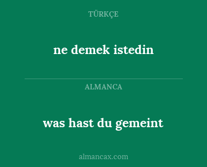 ne demek istedin - was hast du gemeint
